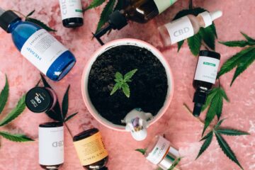 Best Types Of CBD