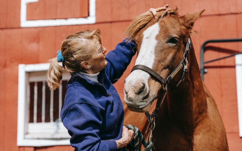 The Benefits of Equestrian Therapy for Mental Health